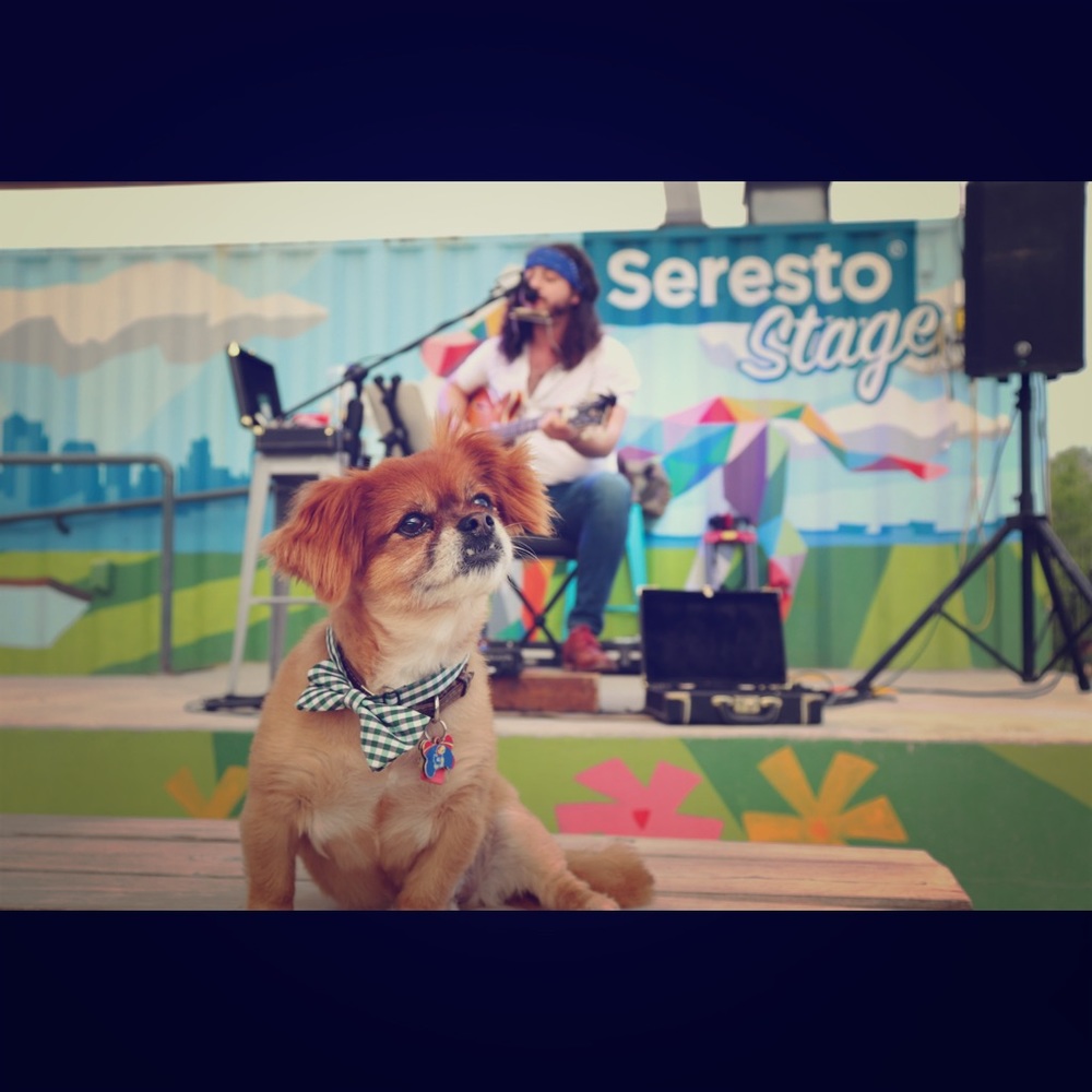 Meet your Posher, Tammy